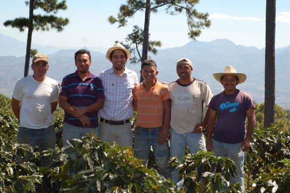 With independent smallholder coffee farmers from "El Trigo" in Santa Rosa de Copan, Honduras